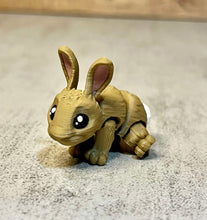 Load image into Gallery viewer, Mini 3D Printed Creatures **PET COLLECTION**