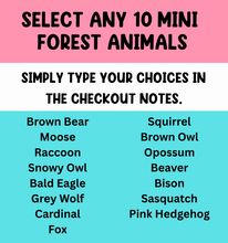 Load image into Gallery viewer, Camping Play Set (10 Mini Animals + Camp Site)
