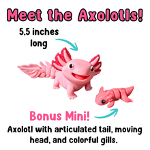 Load image into Gallery viewer, Axolotl Terrarium Scene - Articulated Axolotl + Mini Water Cave
