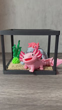 Load and play video in Gallery viewer, Axolotl Terrarium Scene - Articulated Axolotl + Mini Water Cave
